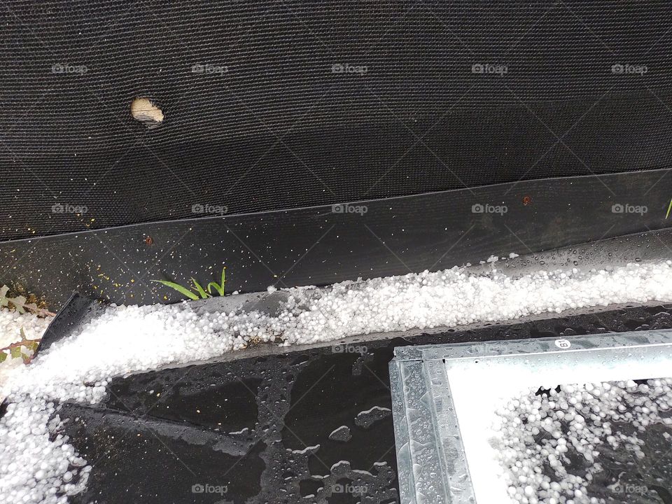 Pea sized hailstones in the back garden after a late winter sudden thunderstorm.