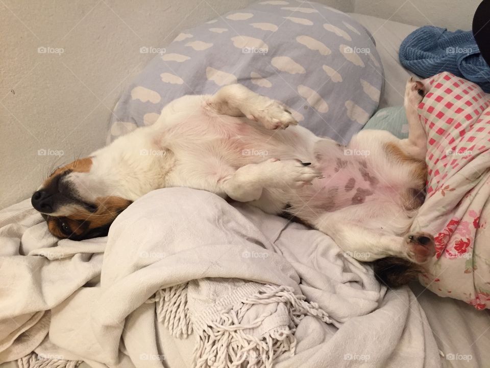 Bobby is still sleeping