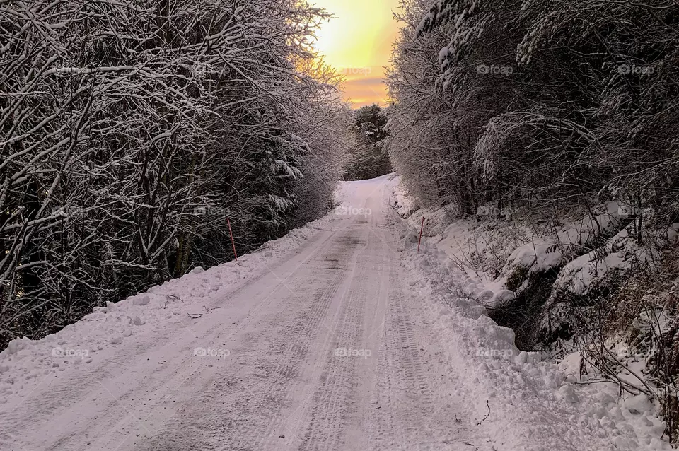 Winter 