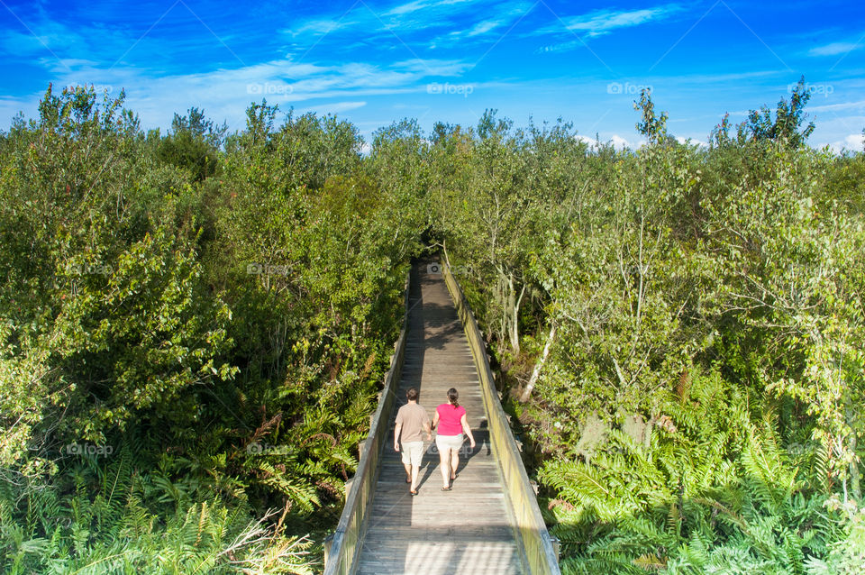 A couple walking on The wooden bridge in the forest on the blue sky background