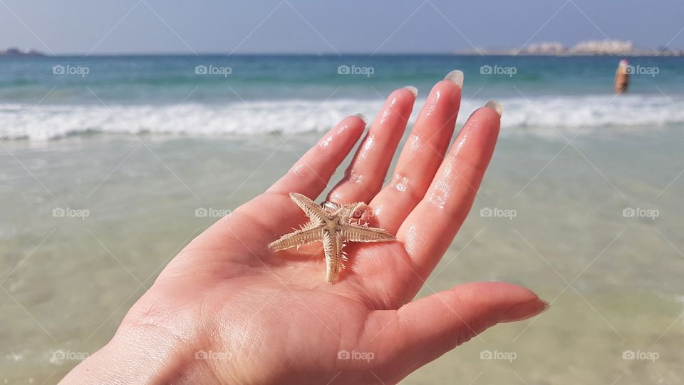 Beach, Sand, Water, Sea, Summer