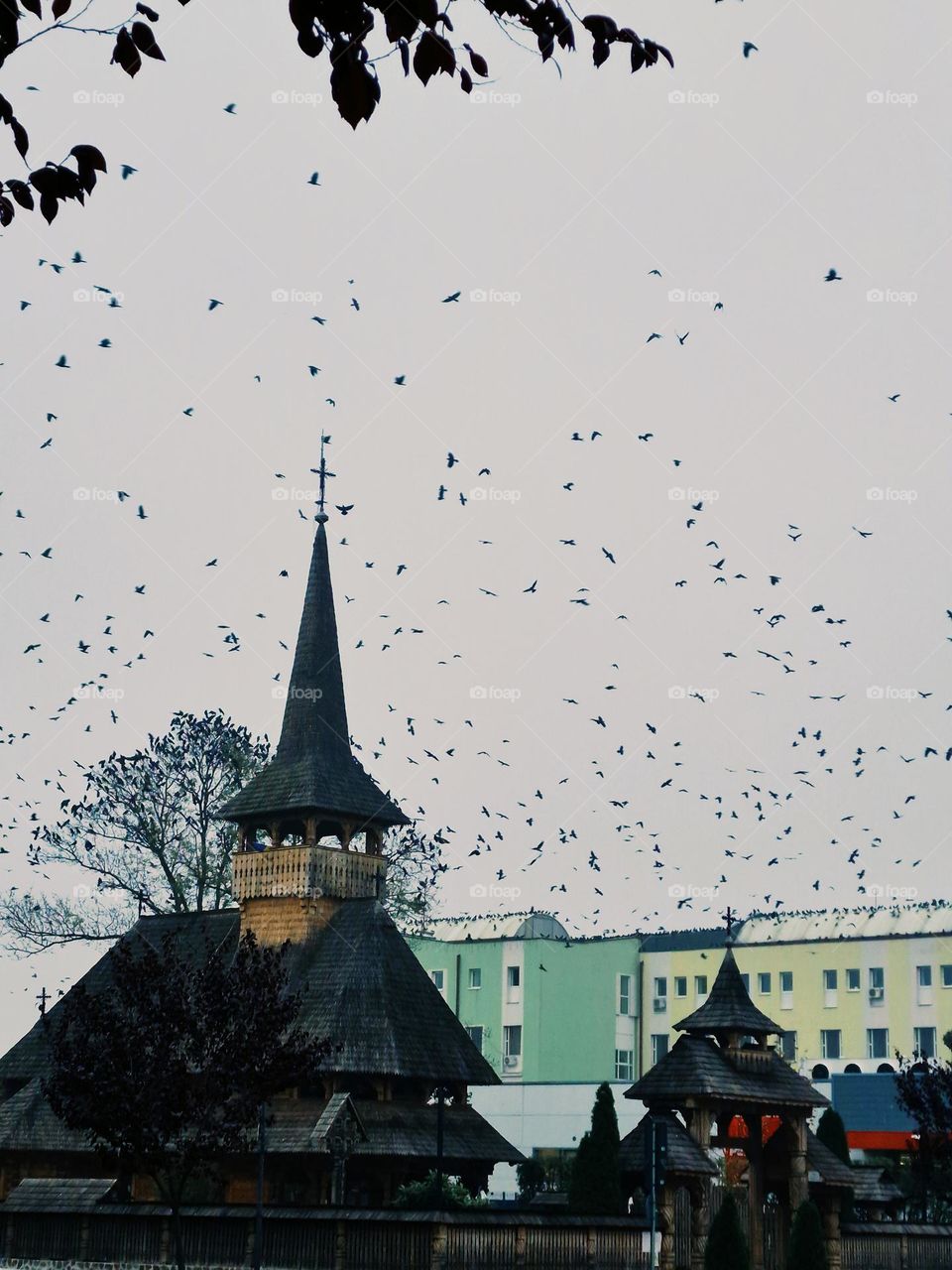 crows above the city of Ineu