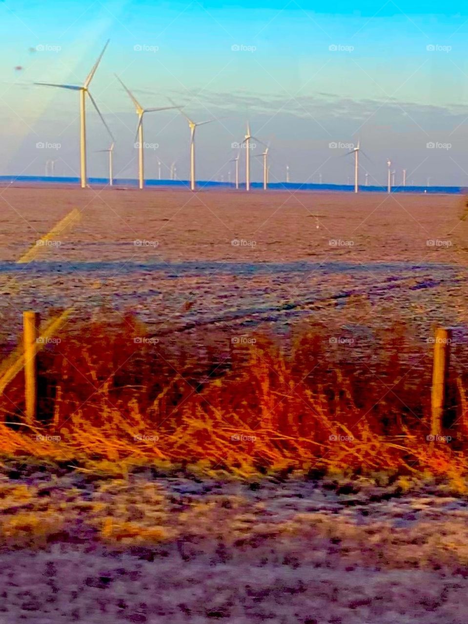 Wind farm 