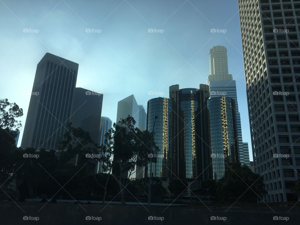 Los Angeles skyline from a ground's perspective with fog coming in. 