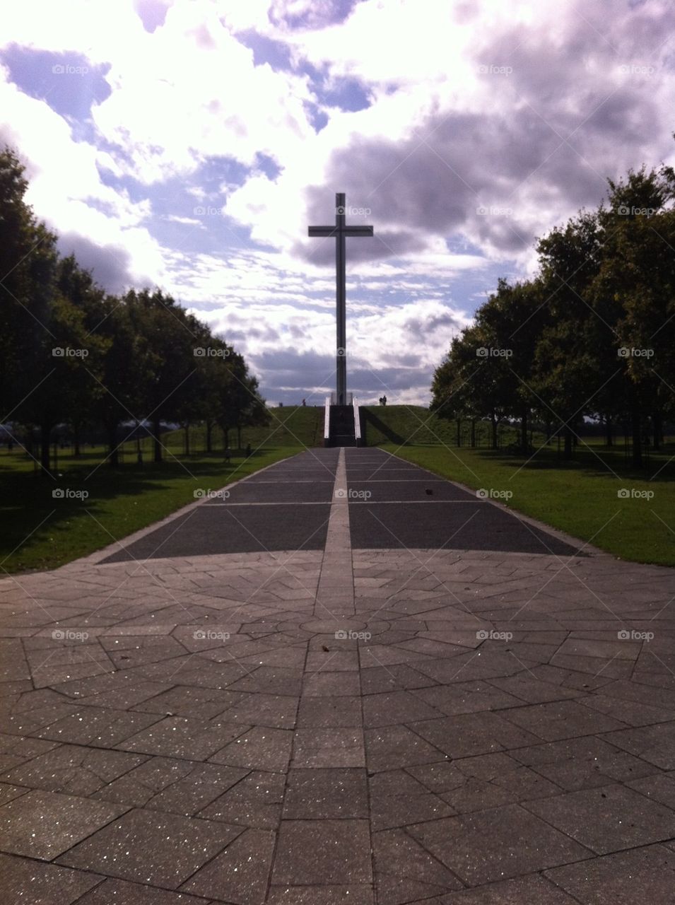 Phoenix Park, Dunlin