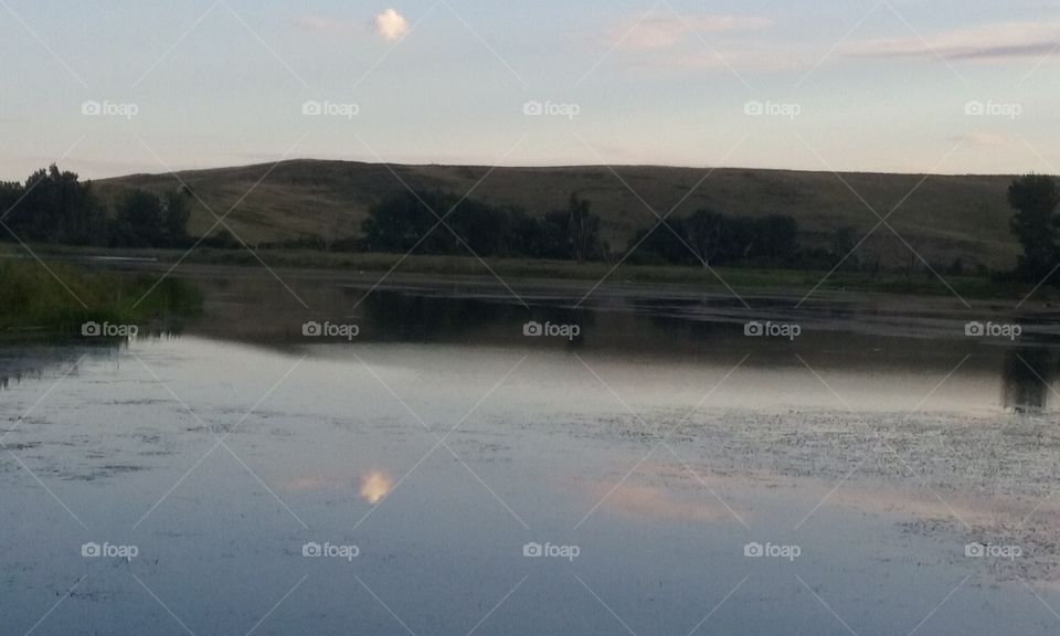 Mallard Lake Forest Preserve