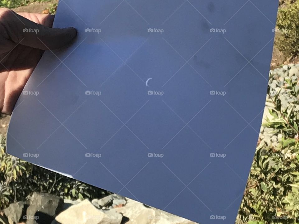 solar eclipse paper trick