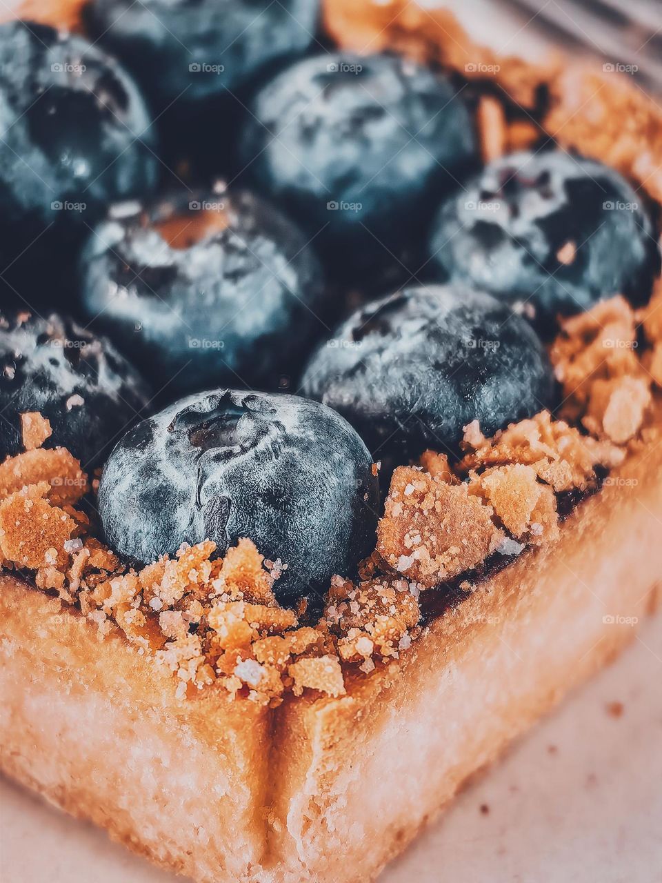 Blueberry tartlet