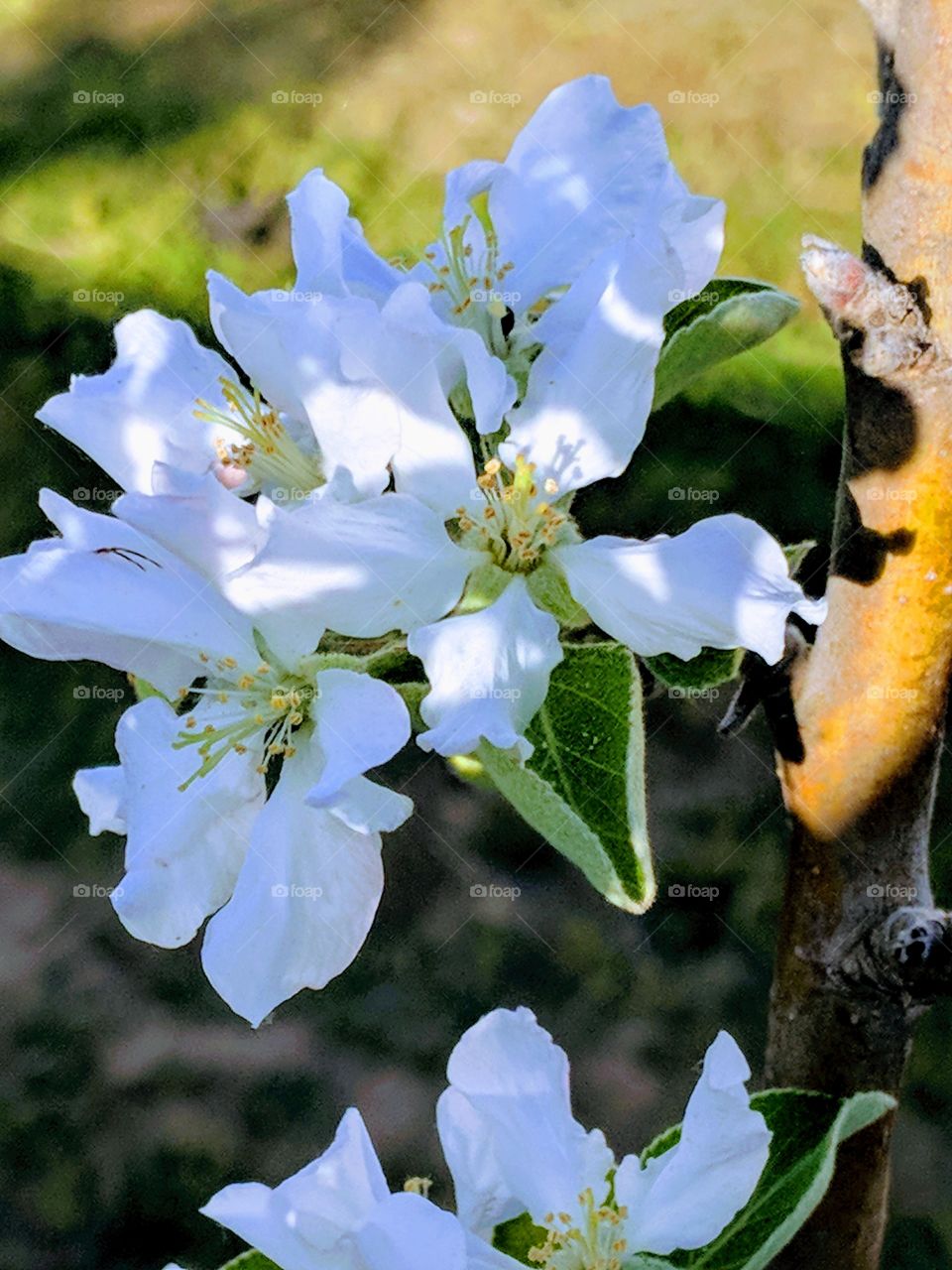 Beautiful as God created