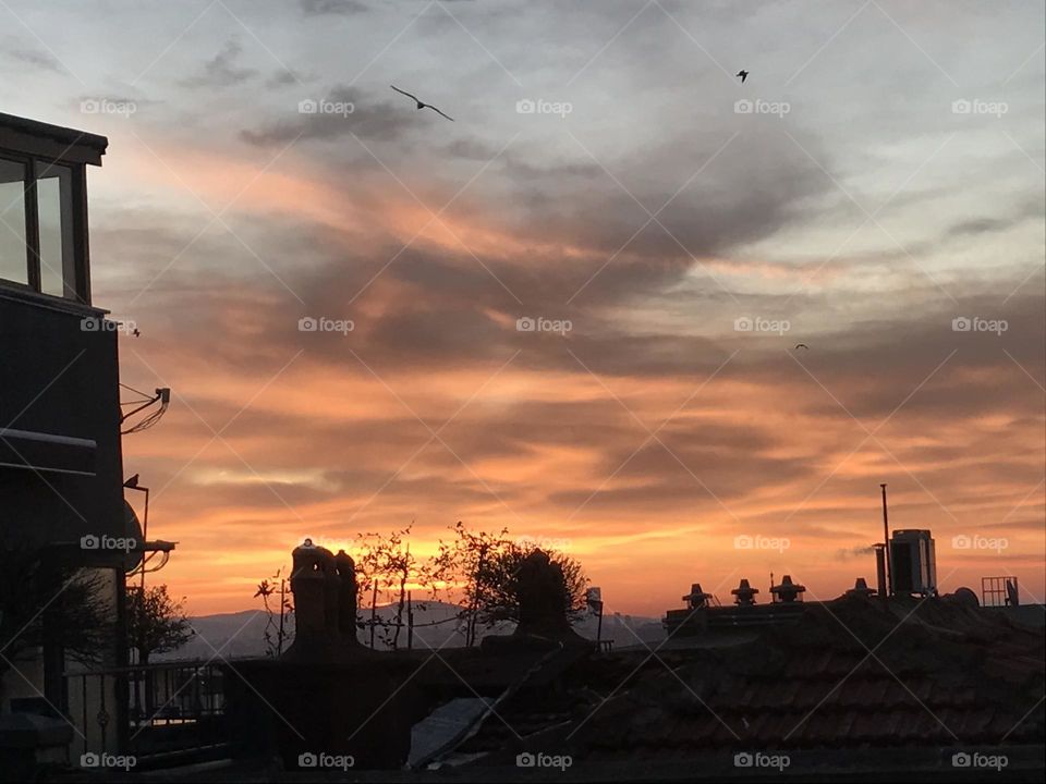 Only seagulls hear the angels' song at dawn. Open the window, be all ears. The morning's gentle breeze fills your heart with celestial beauty. 