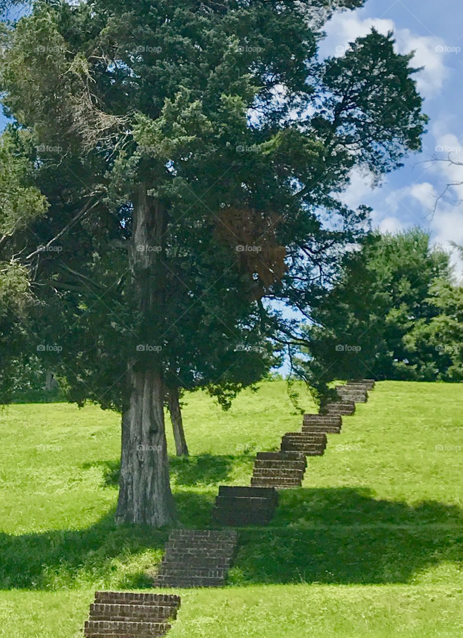 Brick Steps Up Grassy Hill