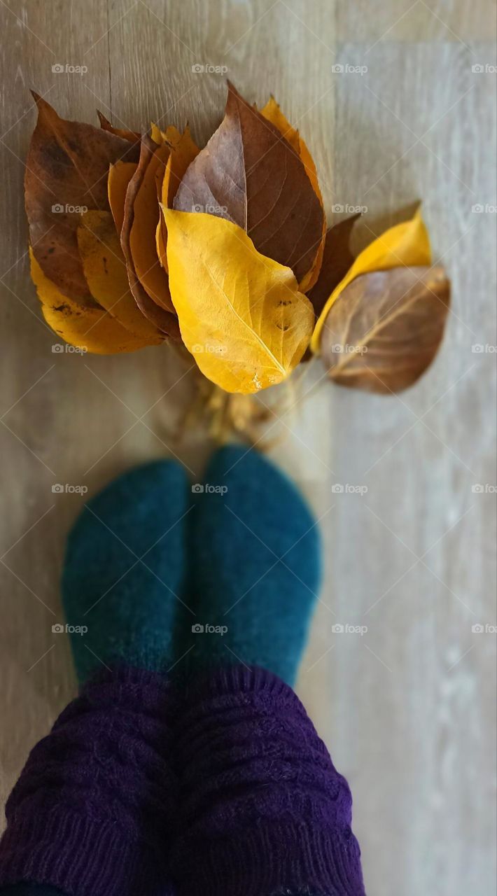 warm top view legs and yellow leaves, love November