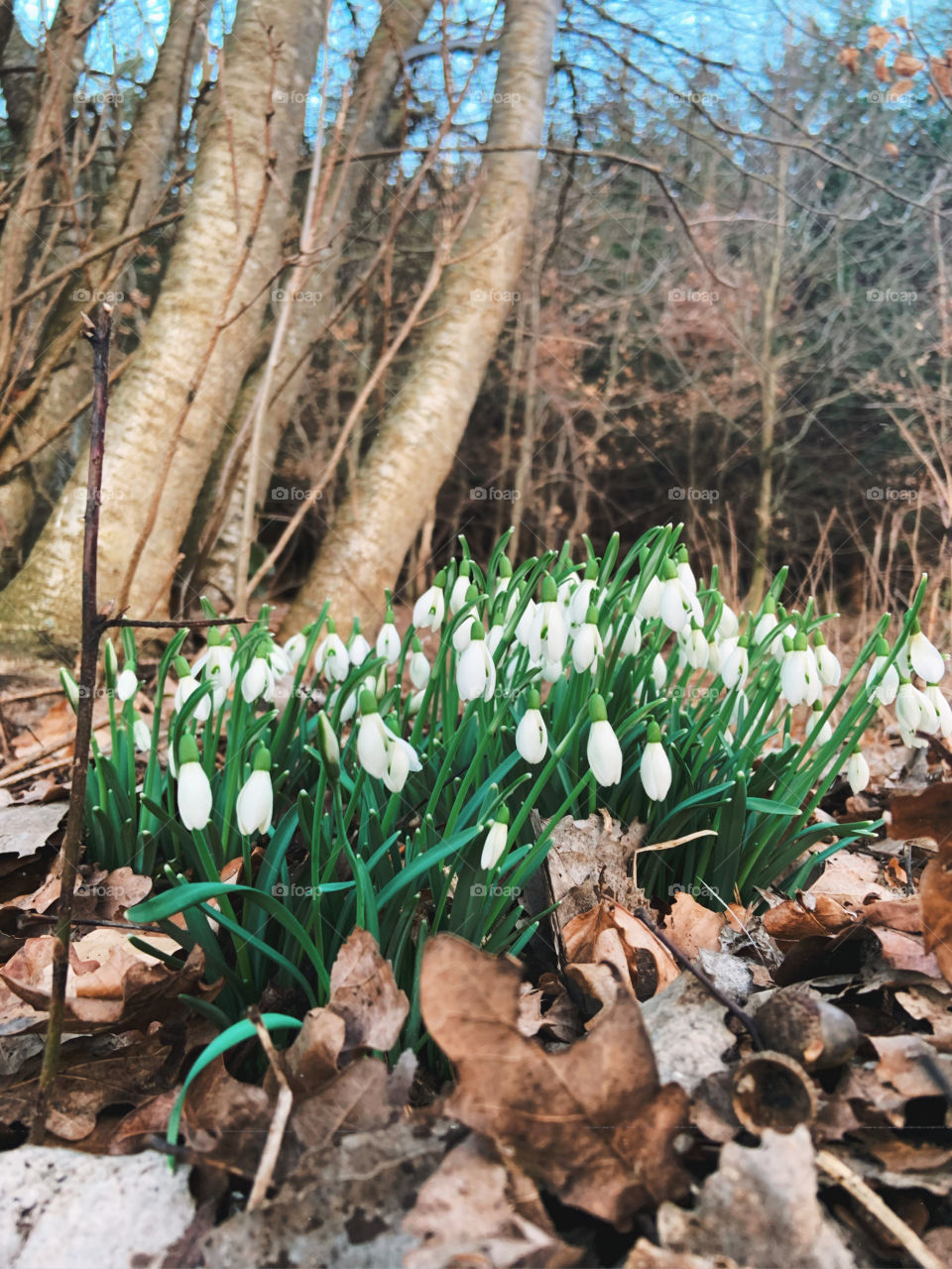 Spring - when everything is waking up!