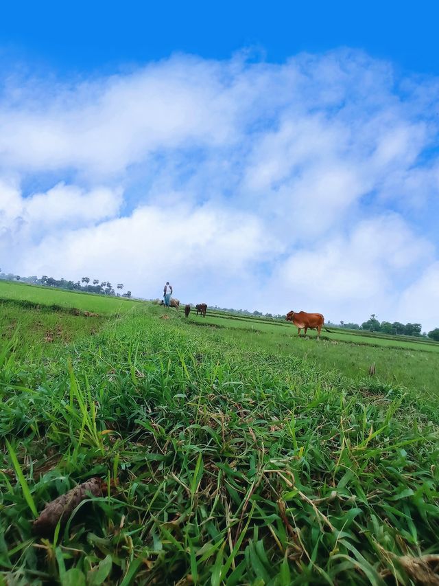 #Nature_ Beauty