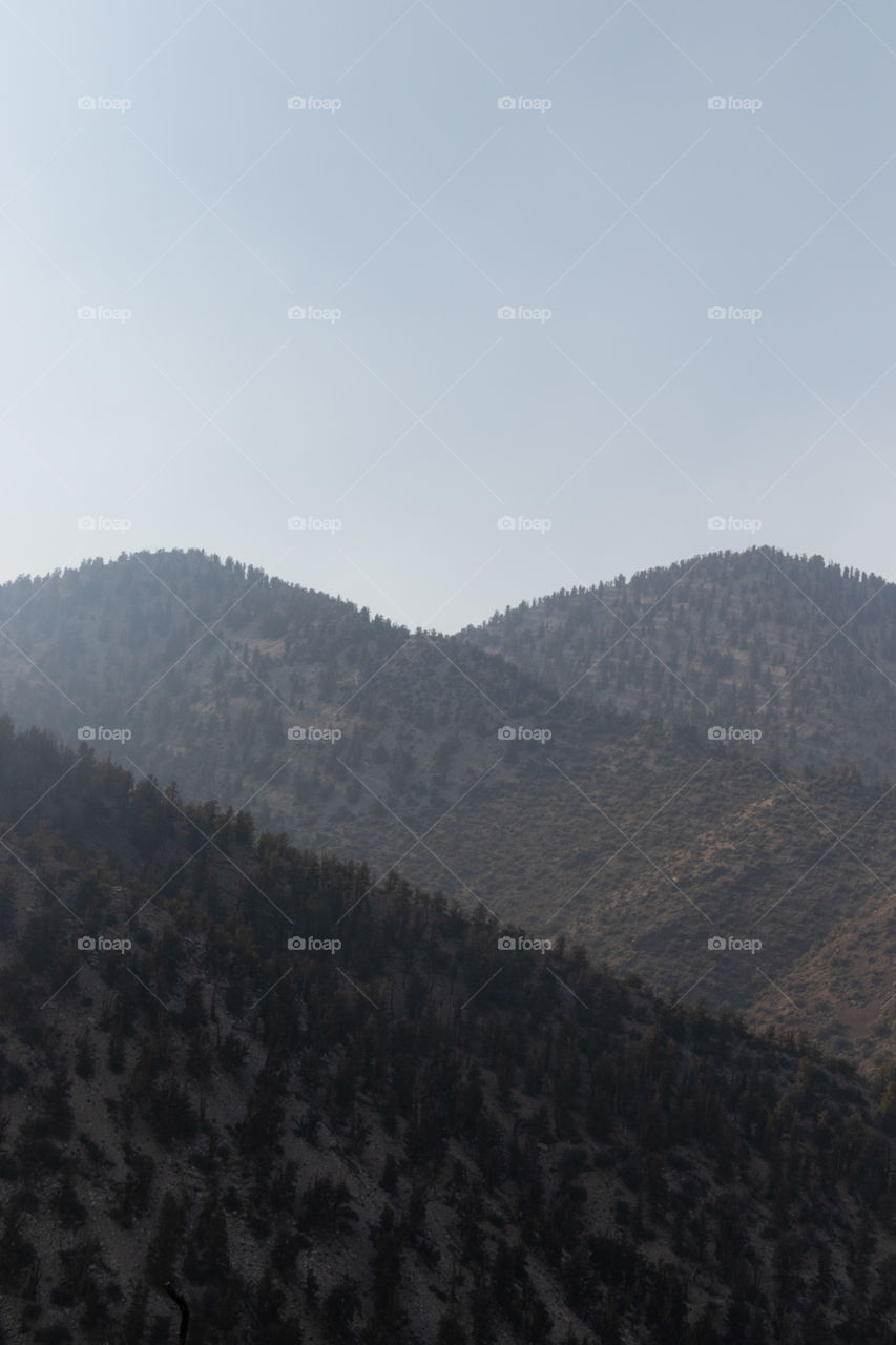 Landscape, Tree, Mountain, Sky, Fog