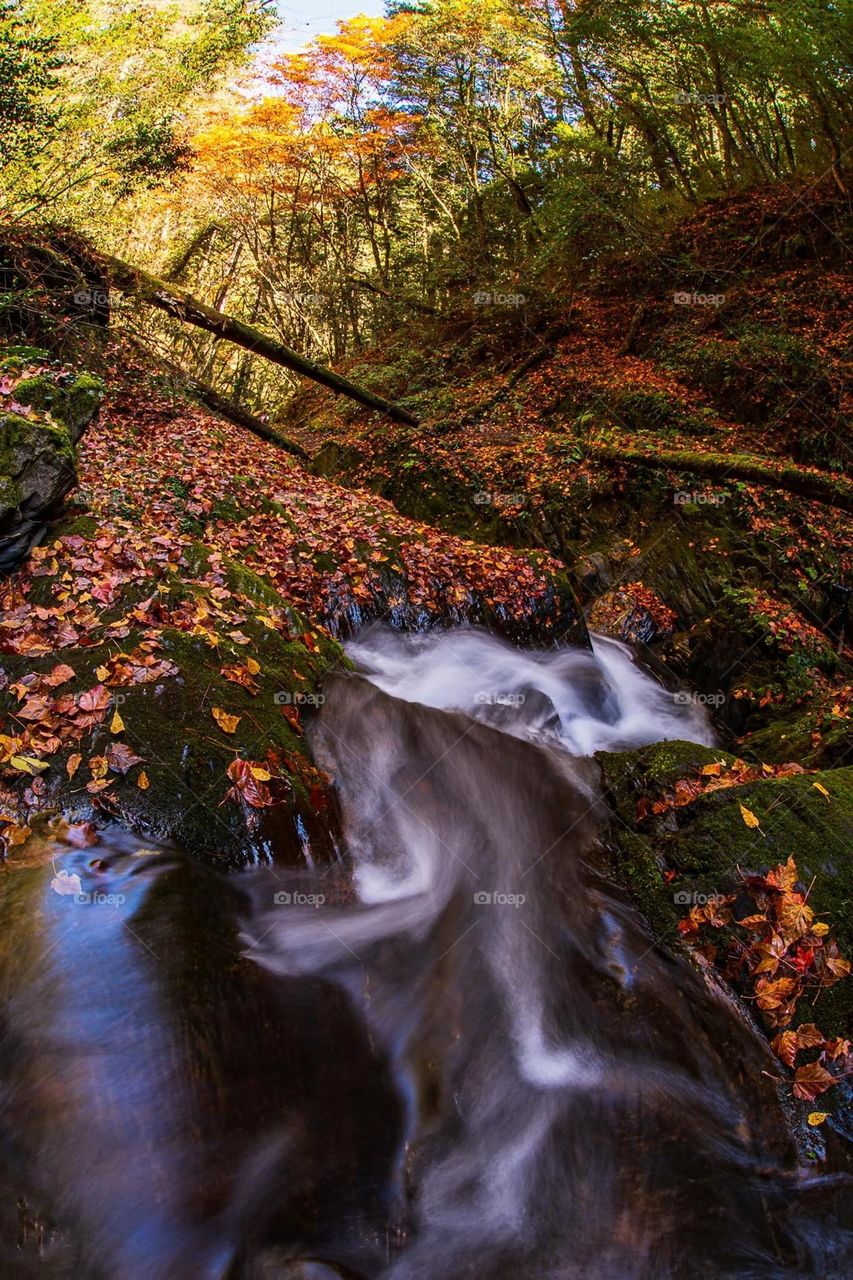 Beautiful valley and water fall scenery