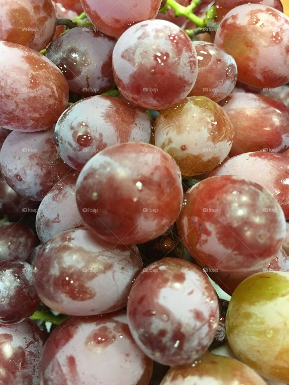 Grapes closeup