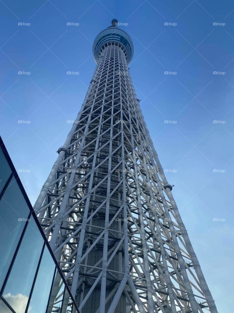 skytree