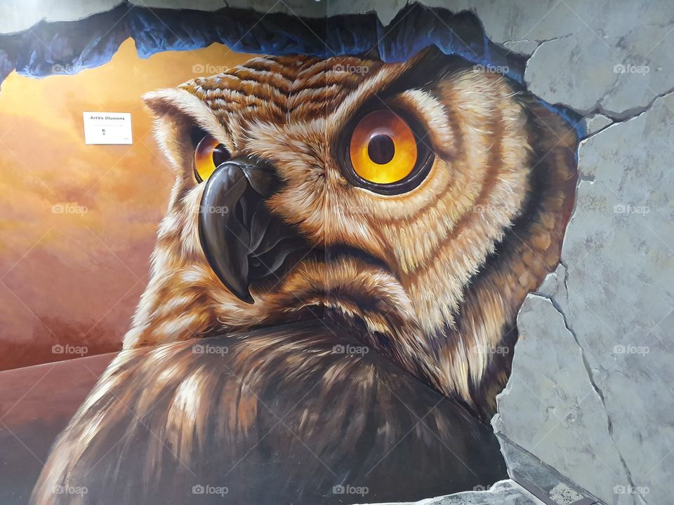 wall art owl