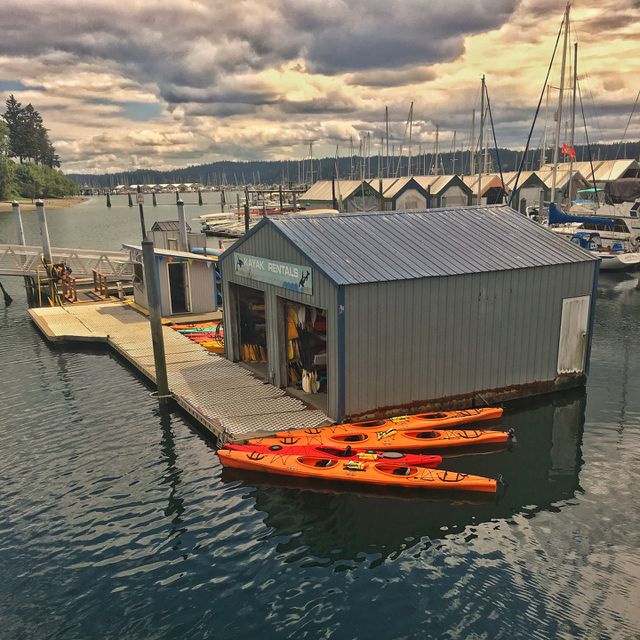 Kayaks