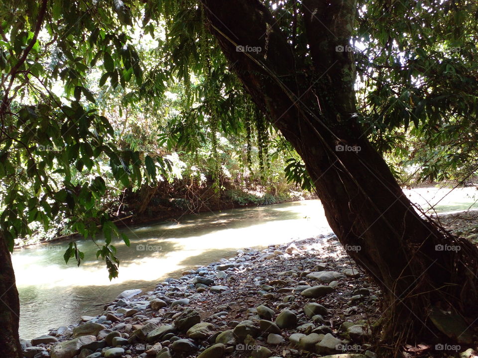 sitting and relaxing by the river..