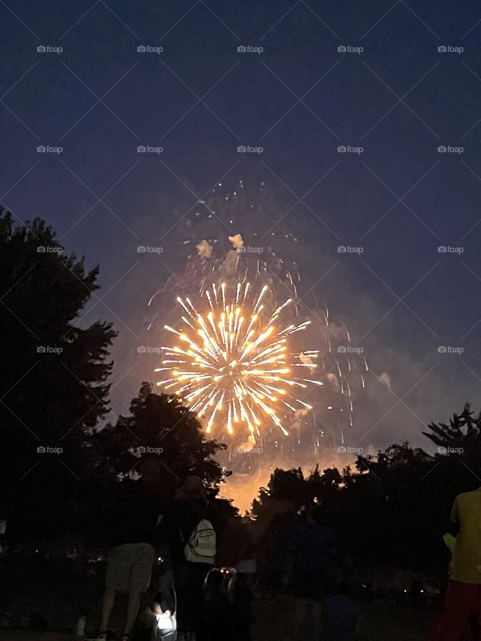 Fireworks in the Dark