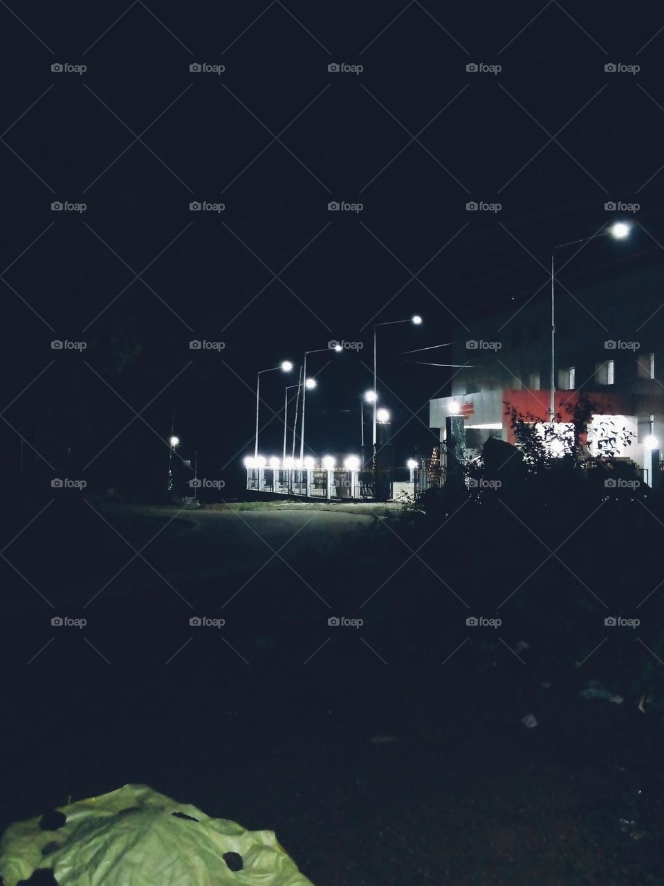 upload photo of the Nature