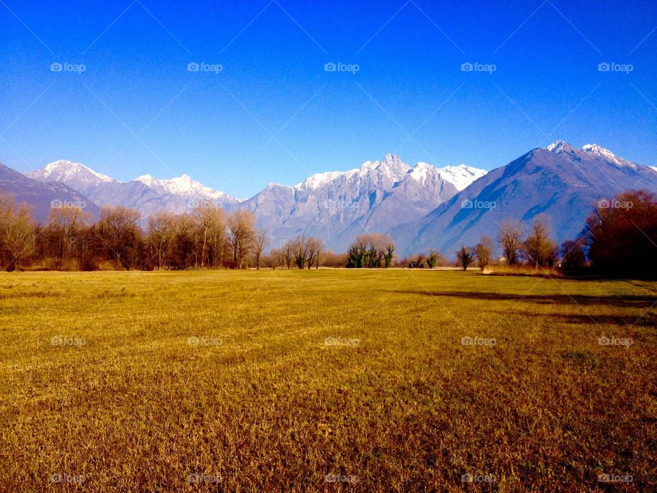 Pian di Spagna, Colico