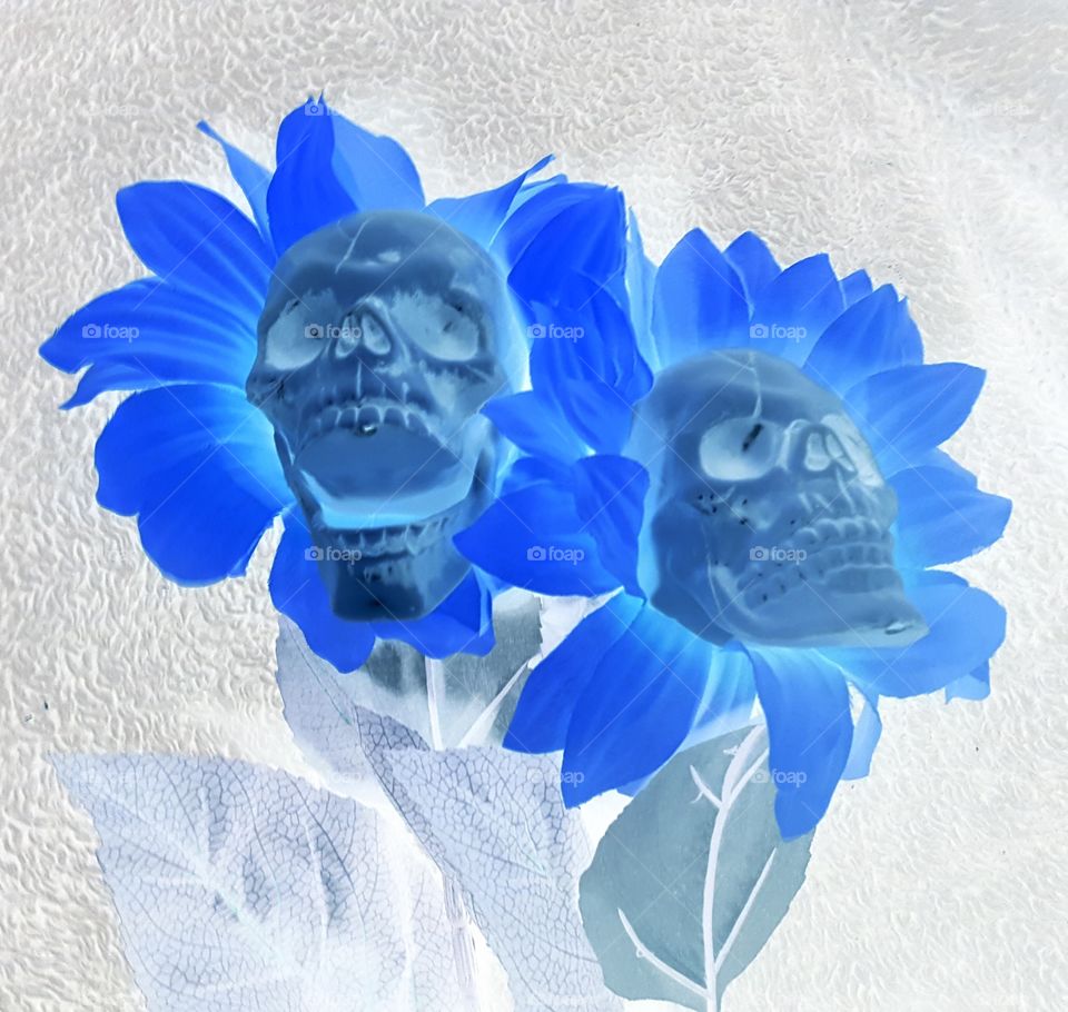 skull flowers