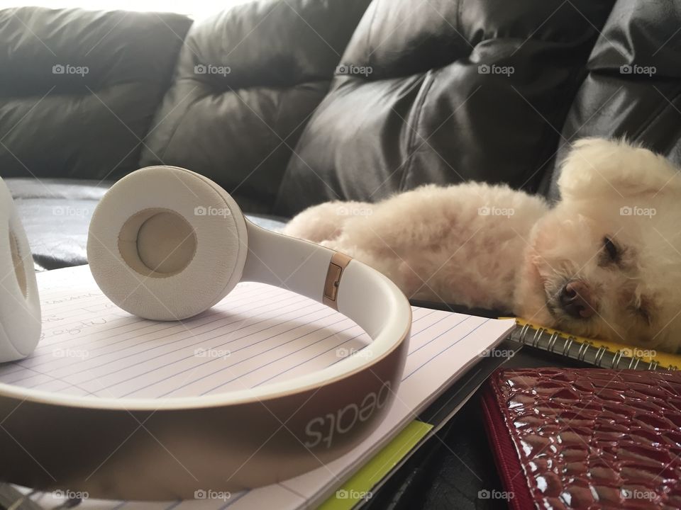 This guy worked too much 