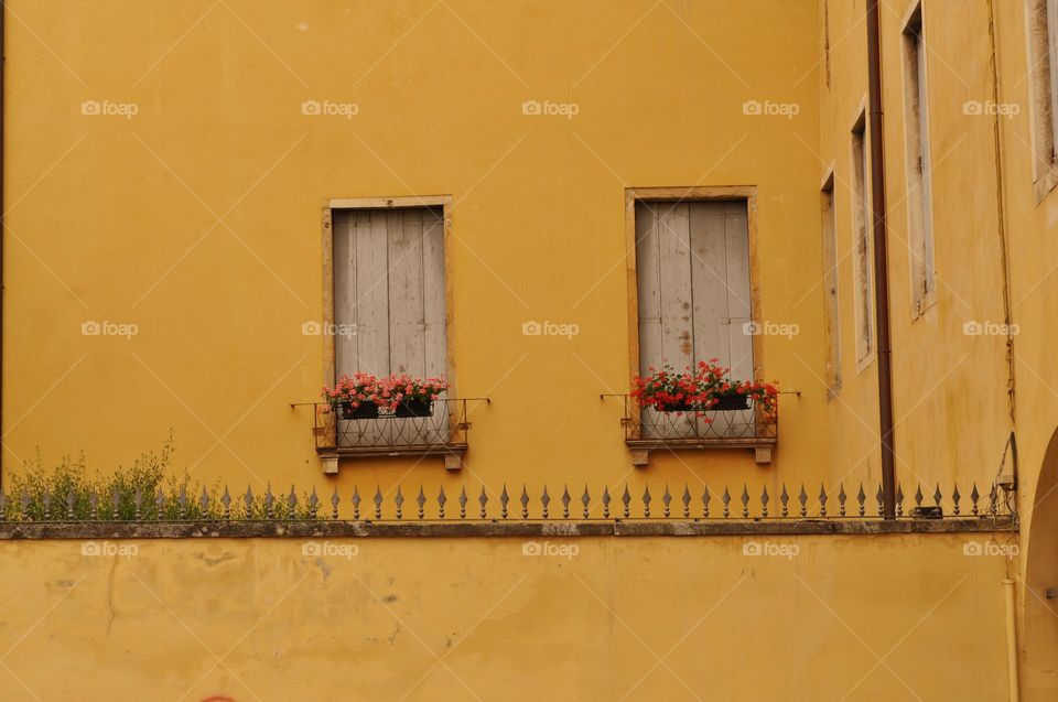 Windows on yellow wall 