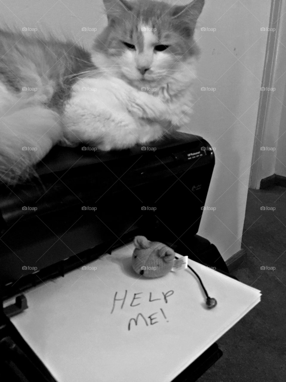 Nothing to see here.