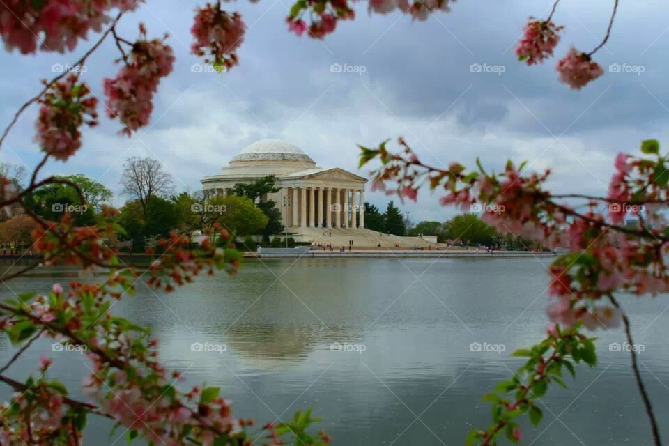 Jefferson memorial