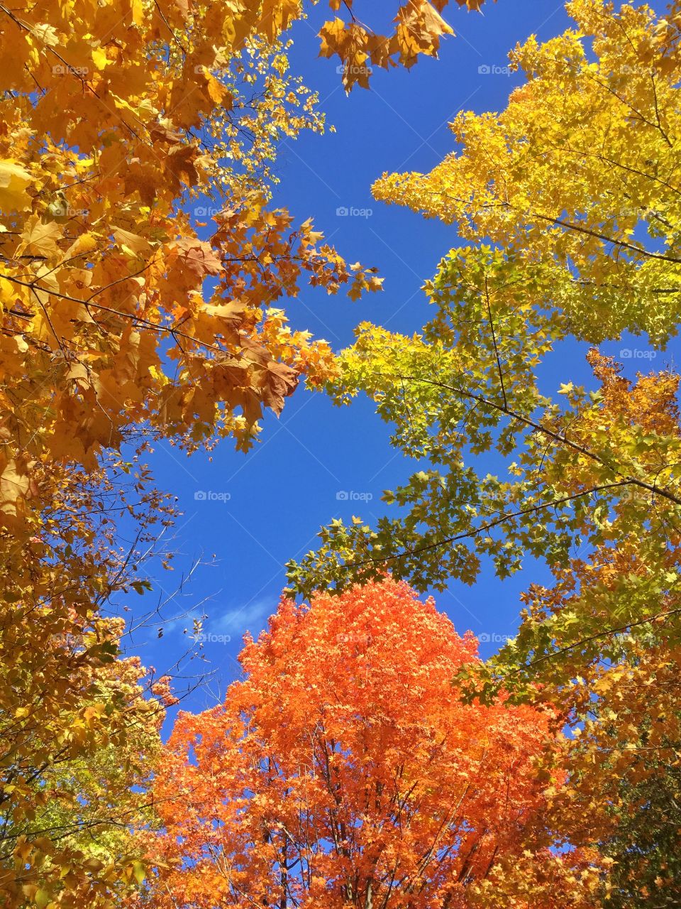 So many bright colors . Pretty Autumn day 