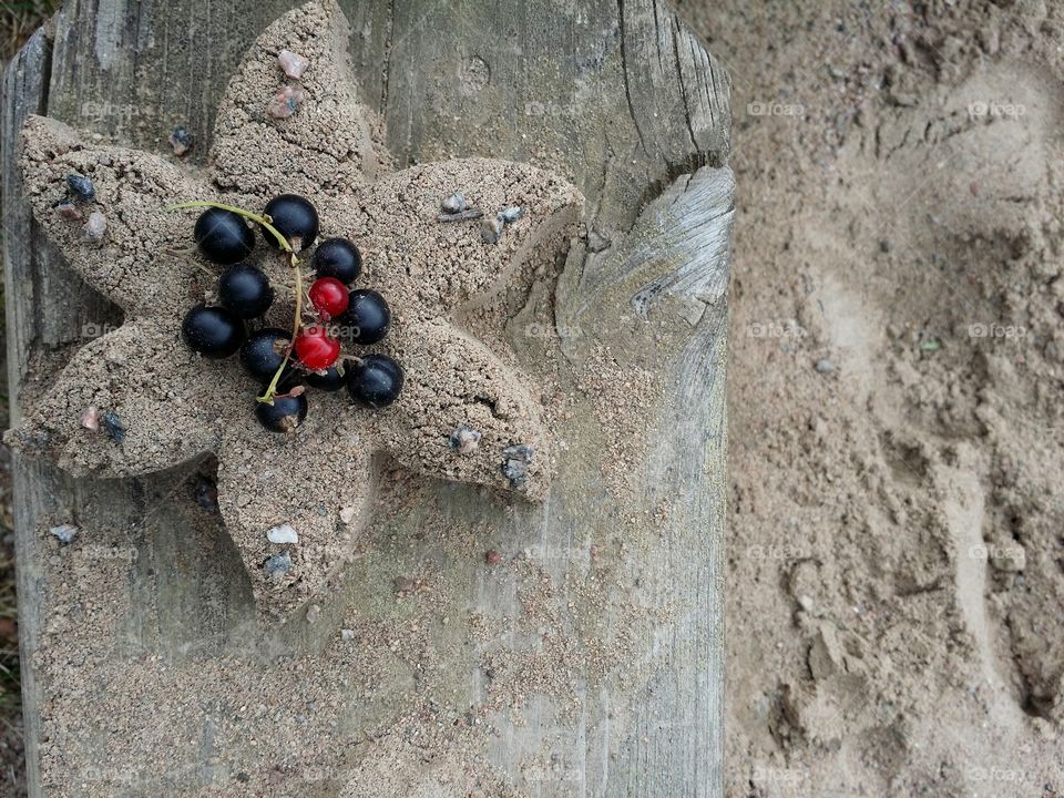 Elevated view of currants on sand