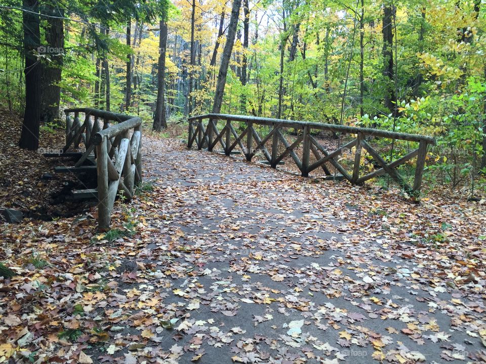 Gatineau Park fall bridge