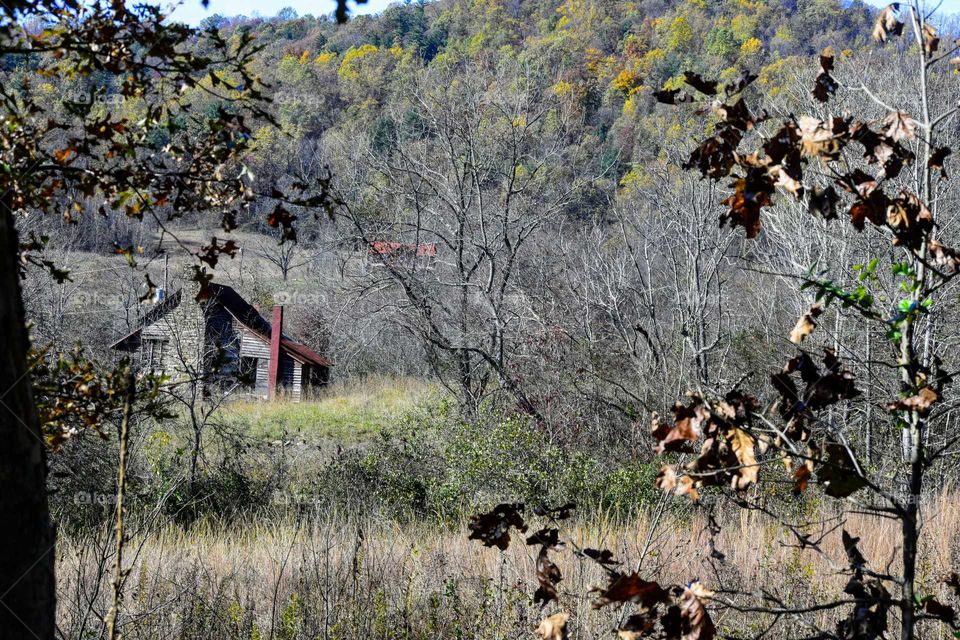 Countryside