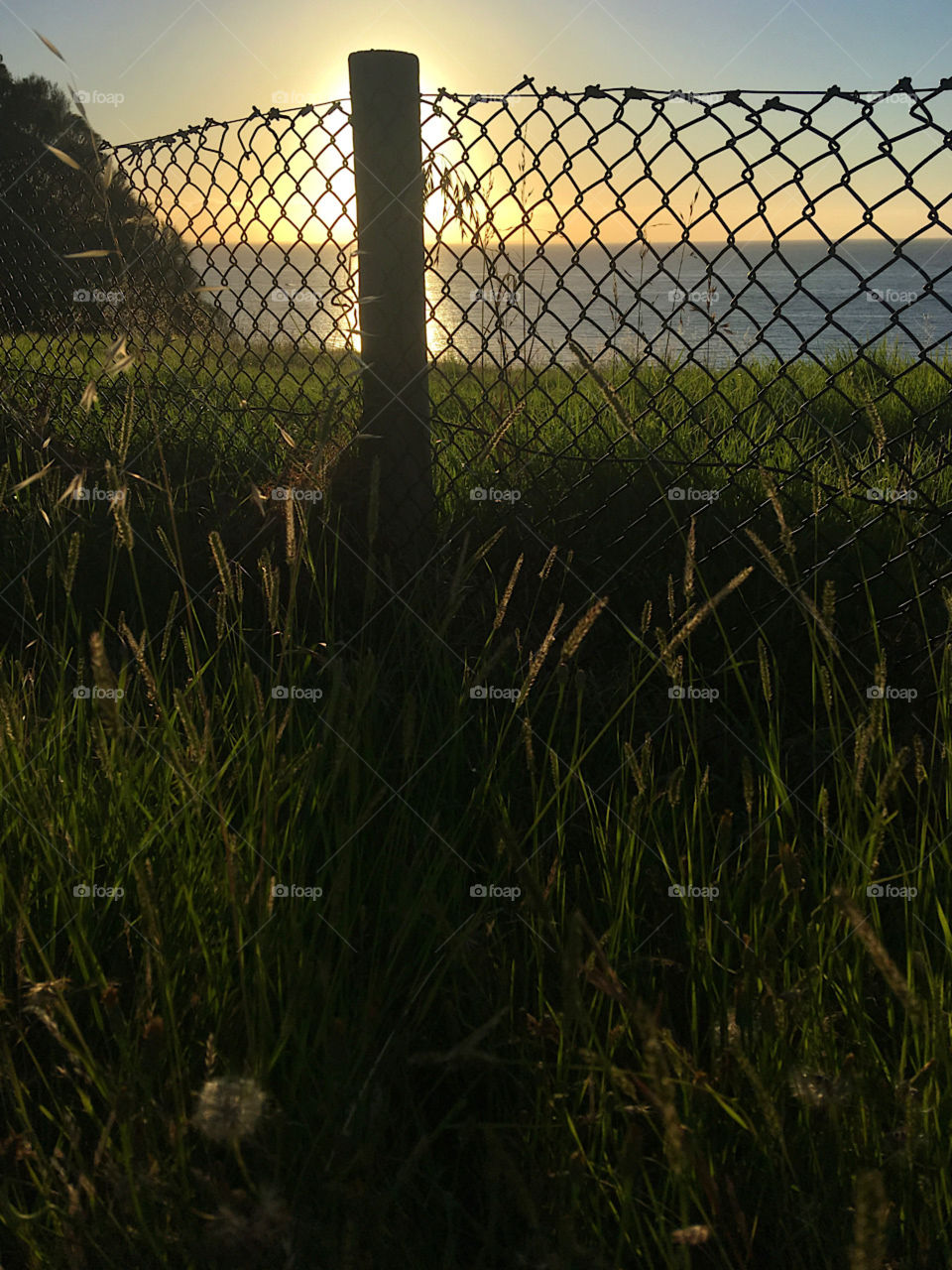 Sun setting over the water through a cliff top fence in Victoria.