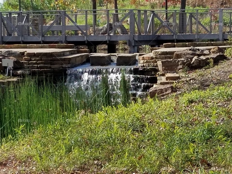 Fort Worth botanical gardens