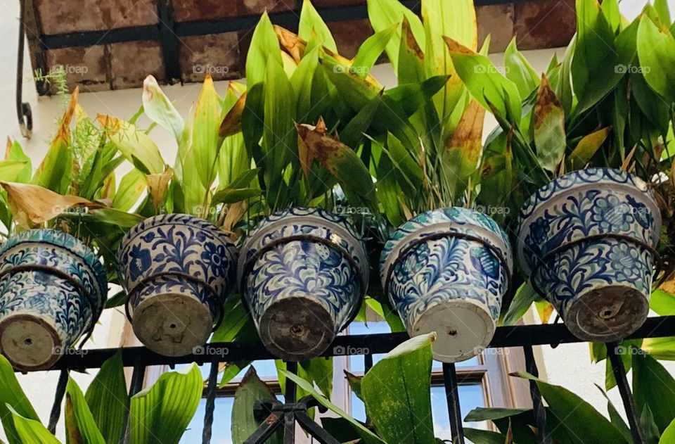 green plants in hand painted terracotta pots hanging from the railing of a balcony photographed from below