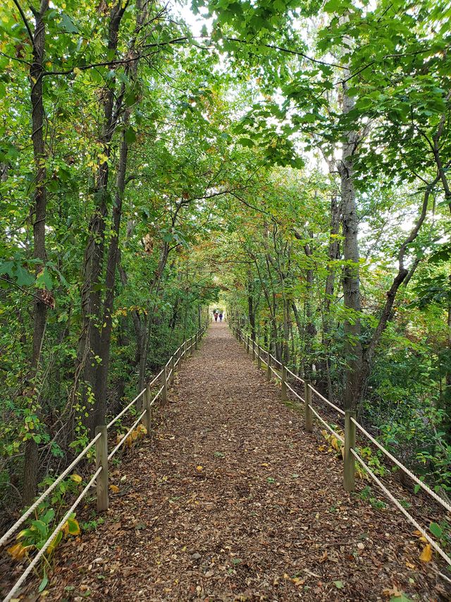 endless walks