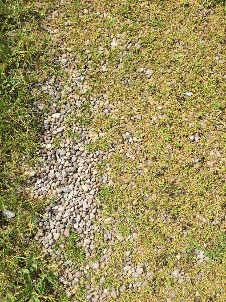 Pebbled path
Meridian Park 