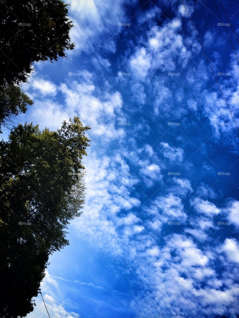 sky