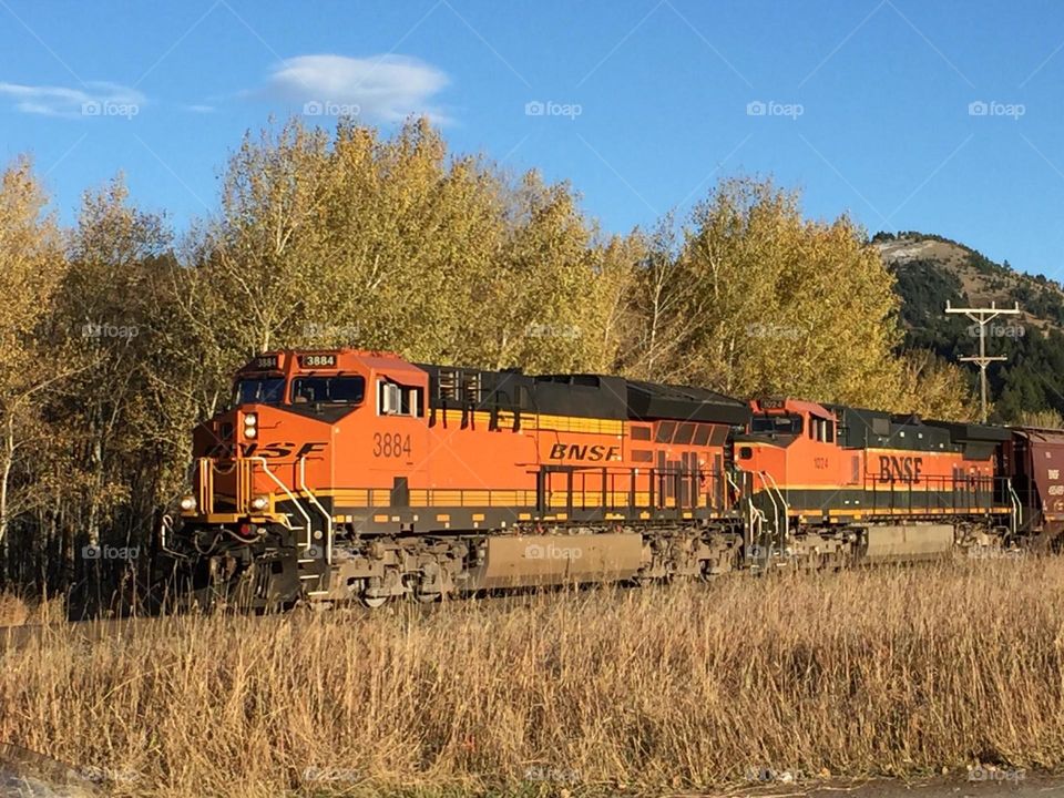 Fall Train