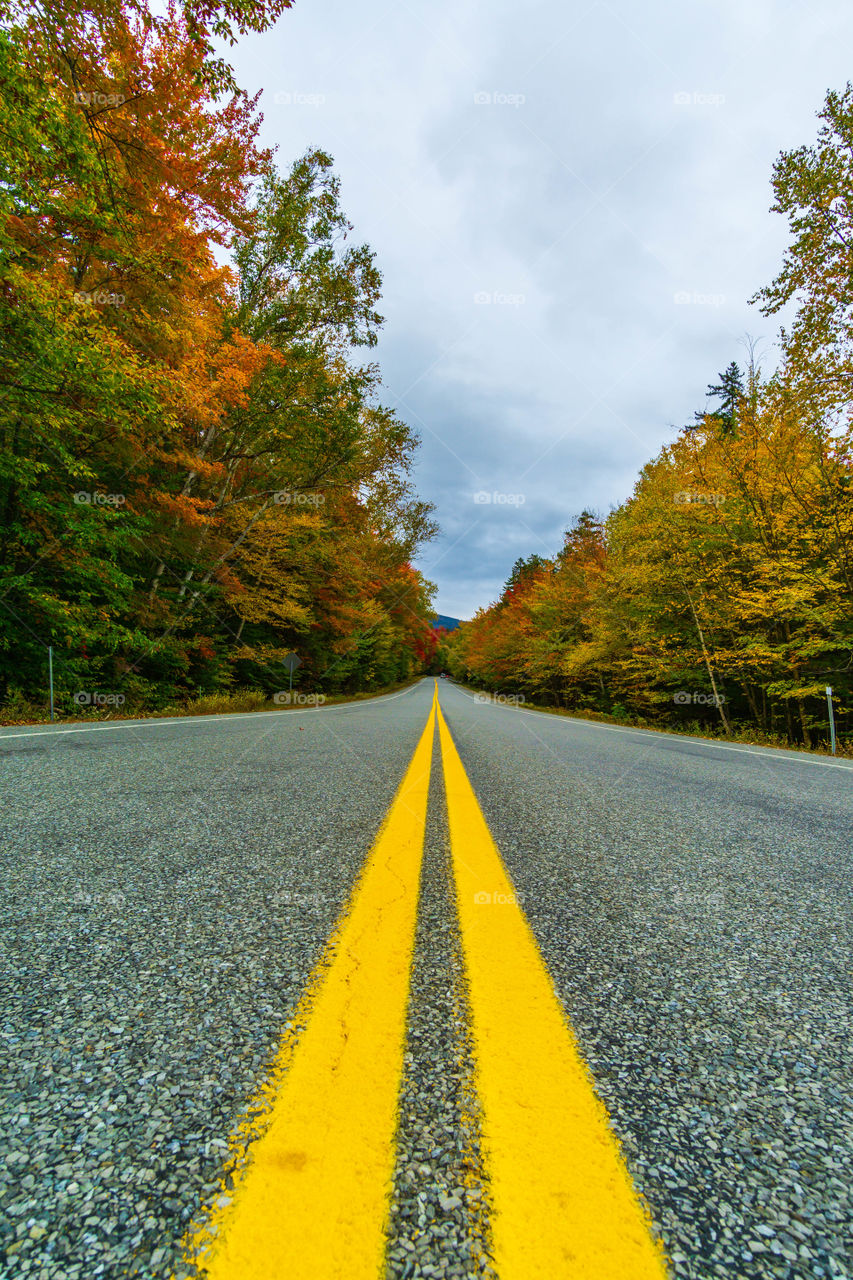 Autumn is a second spring when every leaf is a flower