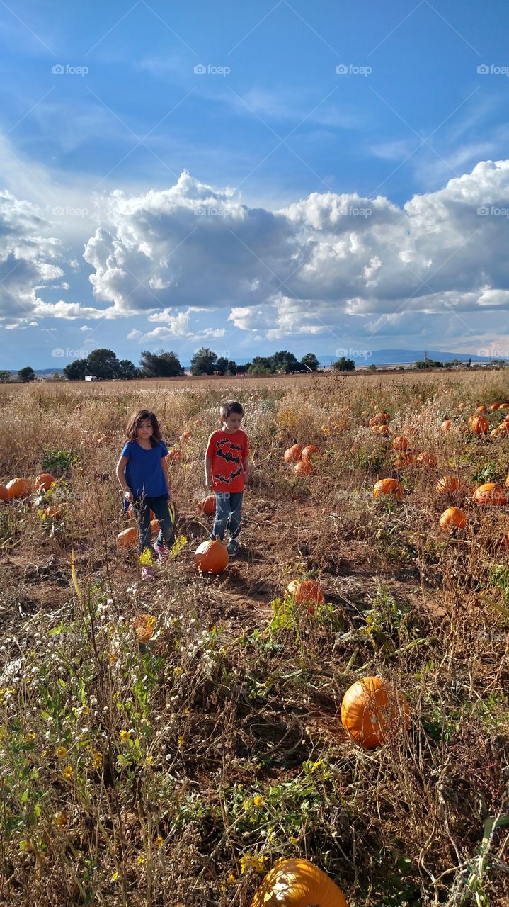 pumpkin patch fun