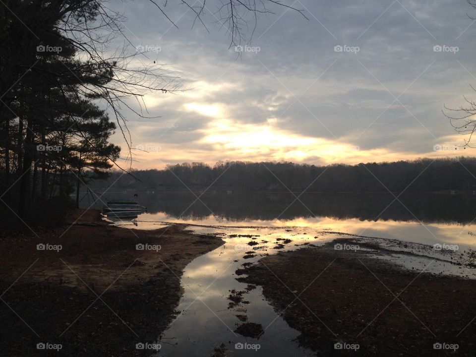 Morning on the creek 