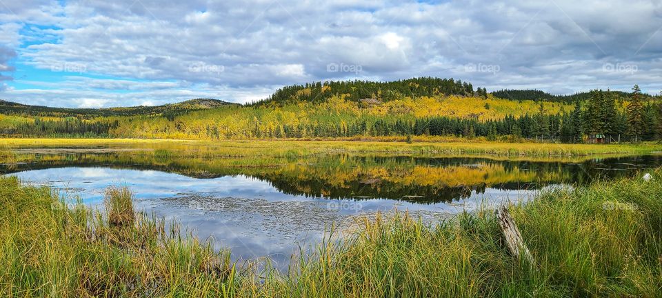 Beautiful golden fall reflections in September in the north of Canada