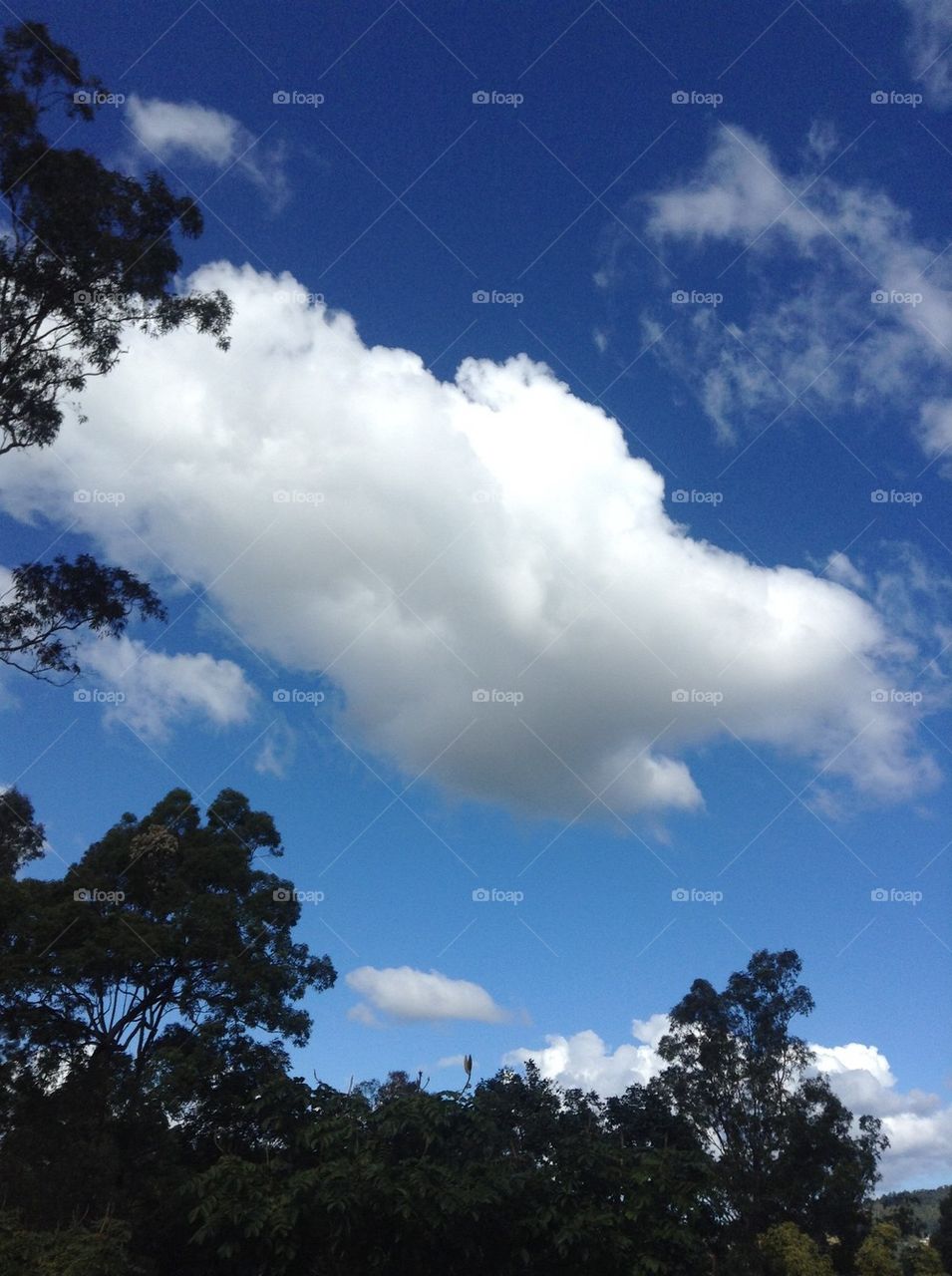 Cloudy Blue Sky 