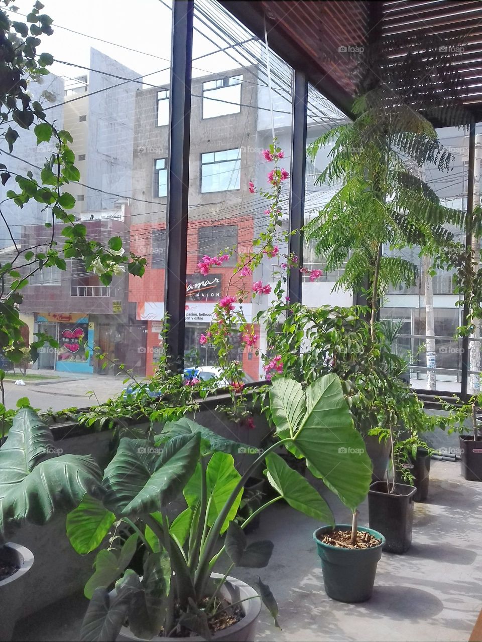 belleza en la simplicidad